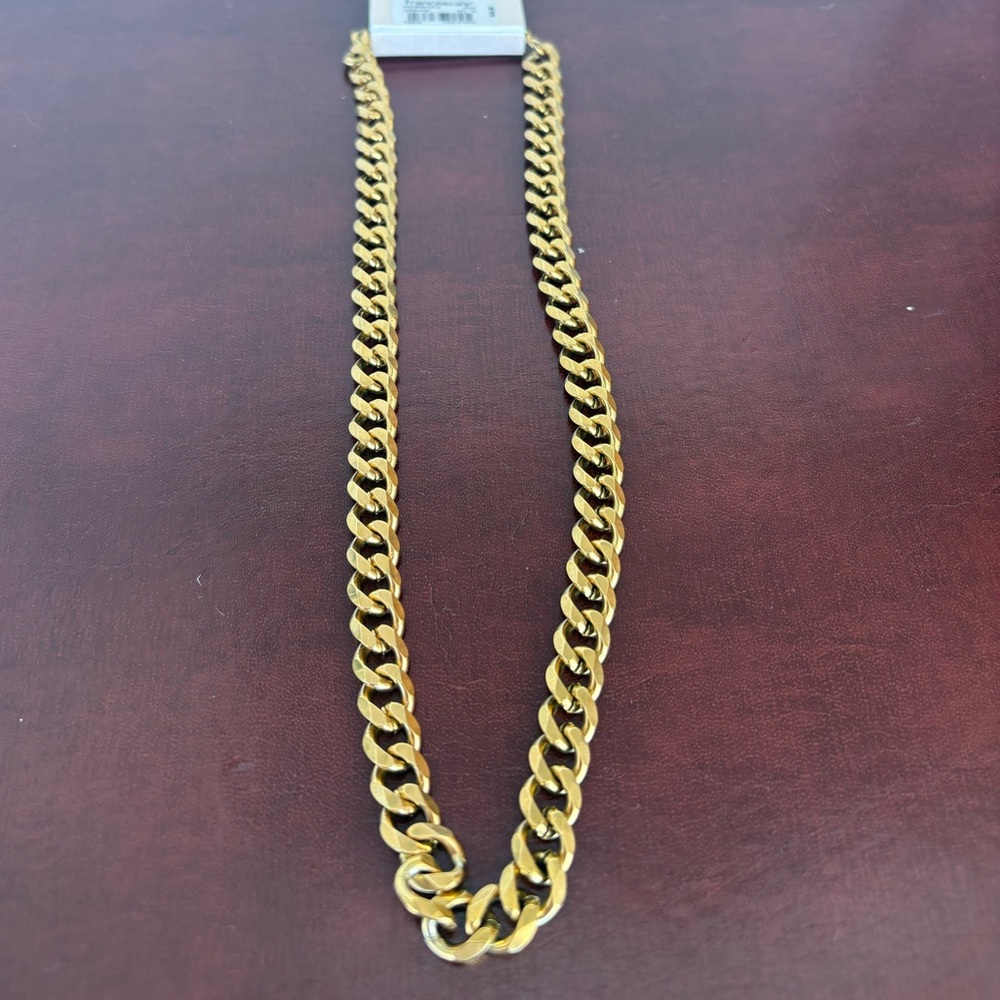 Francesca's Bold Gold Curb Chain Necklace